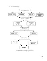 Referāts 'Kroga "Hercogs Jēkabs" tehnoloģiskais projekts', 13.
