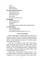 Diplomdarbs 'Vieglās daudzfunkcionālās lidmašīnas modernizācija ar kompozītmateriālu pielieto', 24.