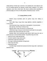 Referāts 'Līzinga būtība', 8.