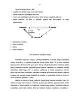 Referāts 'Līzinga būtība', 10.