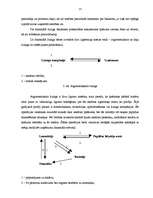 Referāts 'Līzinga būtība', 11.