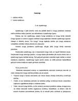 Referāts 'Līzinga būtība', 13.