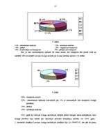 Referāts 'Līzinga būtība', 35.
