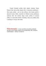 Eseja 'Ekonomikas attīstības cikli', 3.