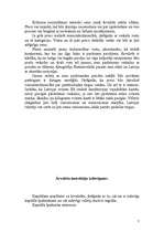 Referāts 'Ārvalstu ieguldījumu aizsardzība', 7.