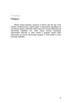 Referāts 'Ārvalstu ieguldījumu aizsardzība', 14.