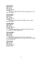 Referāts 'Rēzekne', 4.