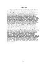 Referāts 'Rēzekne', 20.