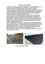 Prakses atskaite 'Ceļu būvdarbu veikšana', 7.