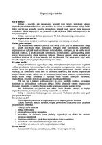 Referāts 'Organizācijas mērķis', 1.