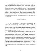 Referāts 'Pasaules valstu meridiāni', 5.