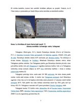 Referāts 'Pasaules valstu meridiāni', 7.