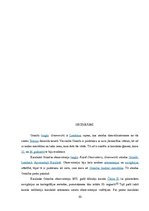 Referāts 'Pasaules valstu meridiāni', 10.