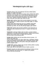 Referāts 'Latviešu valodas morfoloģiskā, fonētiskā analīze darbā "Mērnieku laiki"', 7.