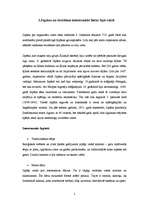 Konspekts 'Origami', 5.