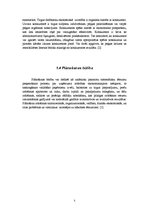 Konspekts 'Konkurentu analīze', 5.