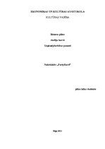 Biznesa plāns 'Naktsklubs', 1.