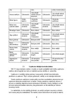 Prakses atskaite 'Finanšu menedžments', 12.