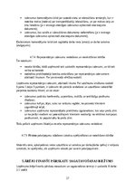 Prakses atskaite 'Finanšu menedžments', 31.