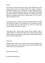 Konspekts 'Kā darbojas skaļruņi?', 5.