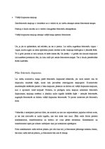 Konspekts 'Kā darbojas skaļruņi?', 6.