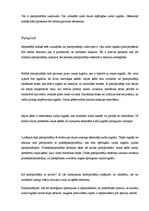 Konspekts 'Kā darbojas skaļruņi?', 12.