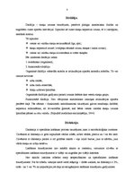 Konspekts 'Ko es varu darīt bērnu ar runas un valodas traucējumiem labā', 8.