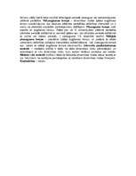 Konspekts 'Statistikas teorija', 6.