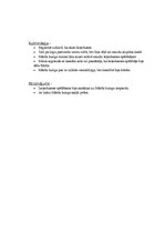 Konspekts 'Literatūra "Pusdienas ar mūziku"', 2.