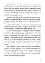 Referāts 'Ar brīvības atņemšanu notiesāto personu iesaistīšanas darbā vēsturiskie aspekti', 17.