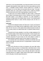 Referāts 'Biotehnoloģijas, tās pieļaujamās robežas', 15.