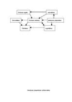 Konspekts 'Kvalitātes kontrole', 2.