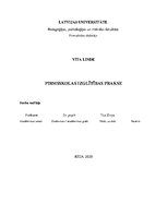 Prakses atskaite 'Pirmsskolas vērojumu prakse', 1.