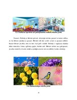 Prakses atskaite 'Pirmsskolas vērojumu prakse', 14.