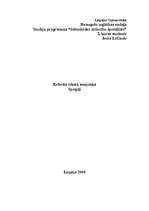 Referāts 'Spoguļi', 1.