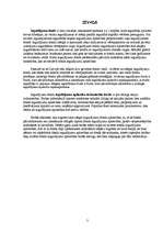 Referāts 'Latvijā reģistrēto slēgto ieguldījumu fondu darbības analīze', 3.