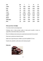 Prakses atskaite 'Banketa organizēšana', 21.