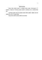 Referāts 'Finašu analīze', 2.
