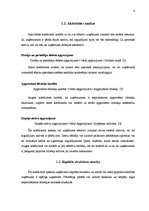 Referāts 'Finašu analīze', 6.