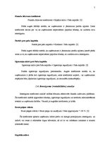 Referāts 'Finašu analīze', 7.