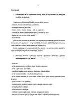 Referāts 'Konfliktsituācijas un to risināšana darbā', 7.