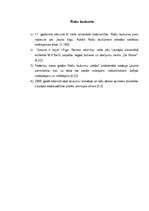 Konspekts 'Liepājas apskates objekti', 3.