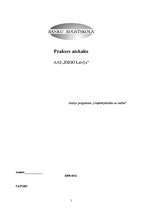 Prakses atskaite 'Prakses atskaite AAS "ERGO Latvija"', 1.