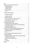 Prakses atskaite 'Prakses atskaite AAS "ERGO Latvija"', 2.