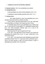 Prakses atskaite 'Prakses atskaite AAS "ERGO Latvija"', 4.