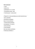 Prakses atskaite 'Prakses atskaite AAS "ERGO Latvija"', 7.