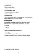 Prakses atskaite 'Prakses atskaite AAS "ERGO Latvija"', 13.