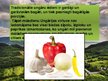 Prezentācija 'Ungārijas tradicionālie ēdieni', 2.