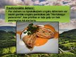 Prezentācija 'Ungārijas tradicionālie ēdieni', 3.