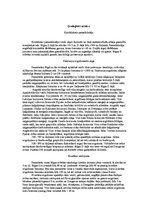 Konspekts 'Rīga', 10.